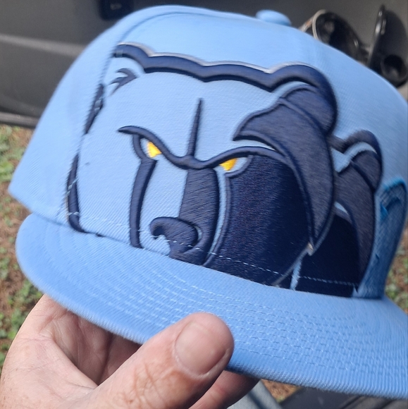 Other - minnesota grizzly bears hat